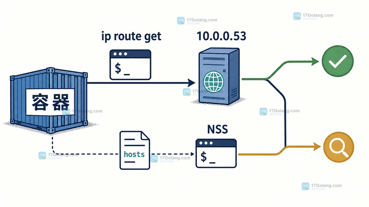 Linux 容器到 DNS 服务器的路由判断：网络命名空间、出口和解析结果分支