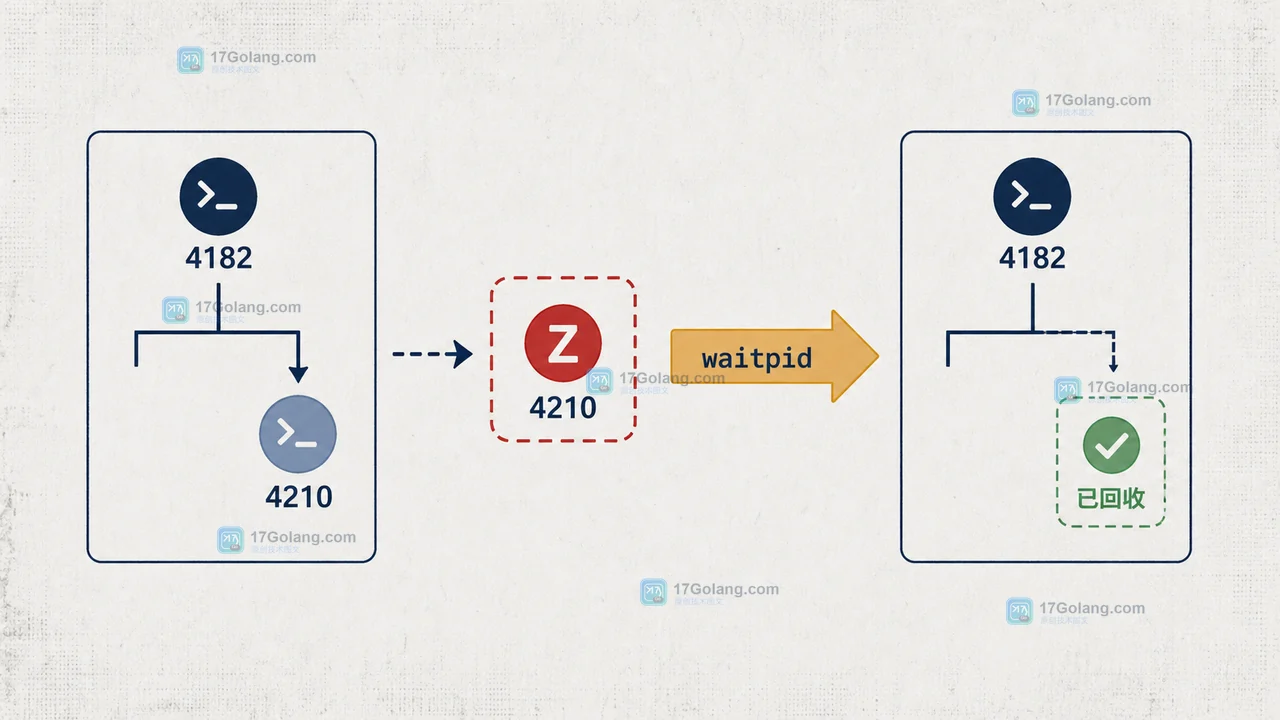 Linux 父进程通过 waitpid 回收子进程后僵尸状态消失的前后对比