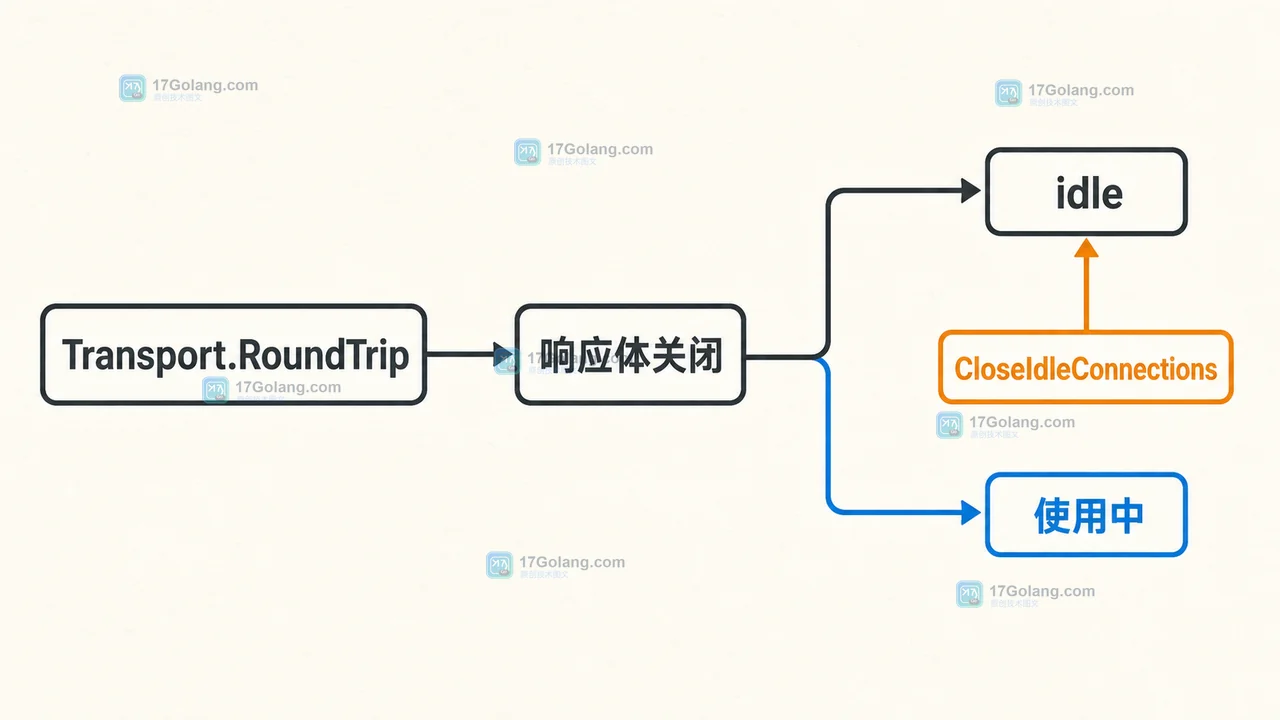 Transport.RoundTrip 后响应体关闭进入 idle，CloseIdleConnections 清理空闲分支而保留使用中分支