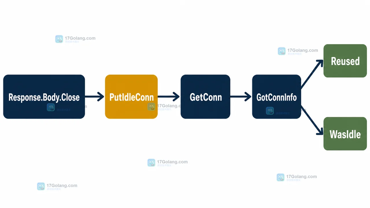 Go Response.Body.Close 到 PutIdleConn 再到下一次 GotConnInfo 的连接复用状态变化