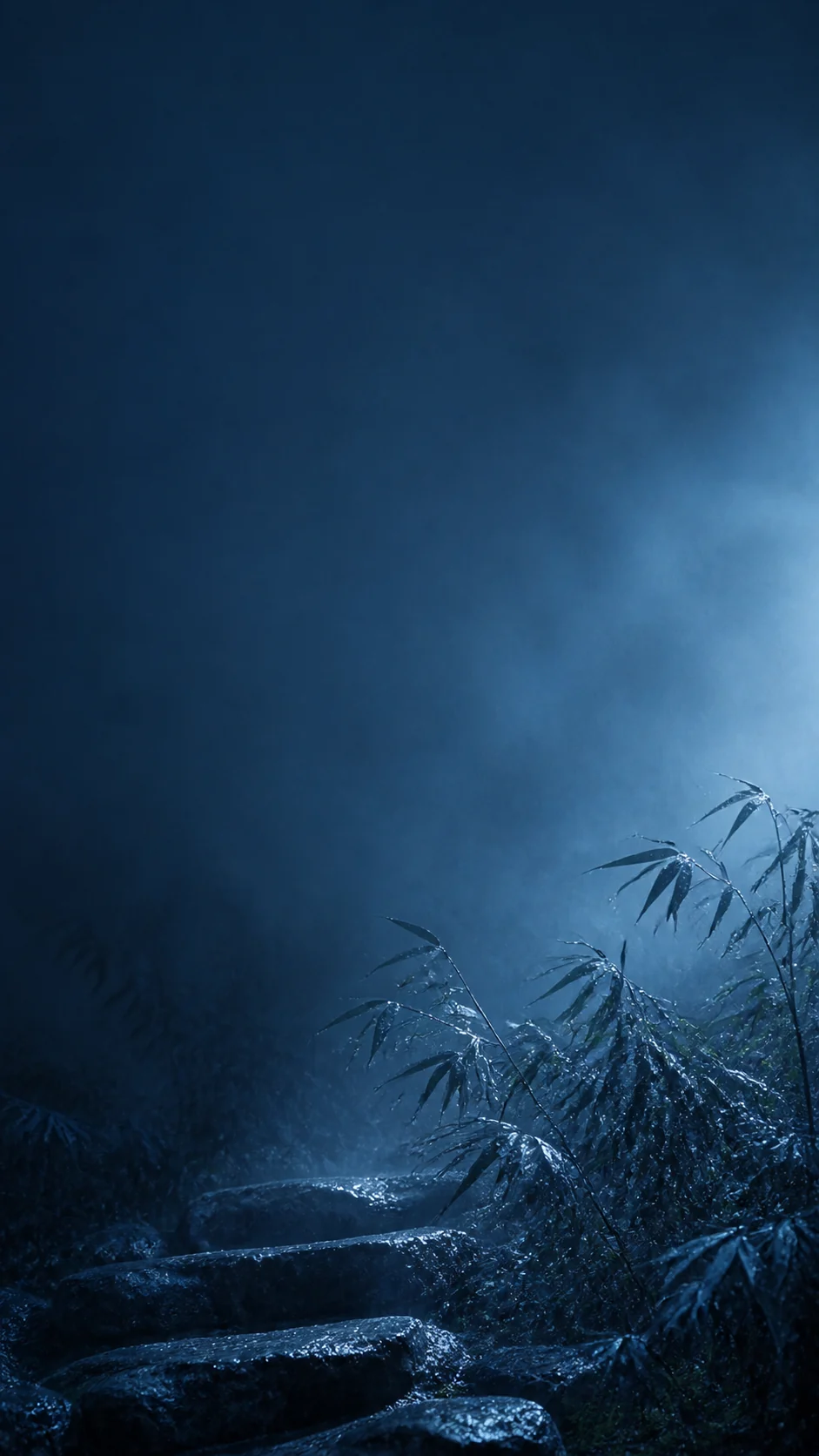 雾蓝夜雨中的低位竹影竖屏手机壁纸,上方保留冷色锁屏留白