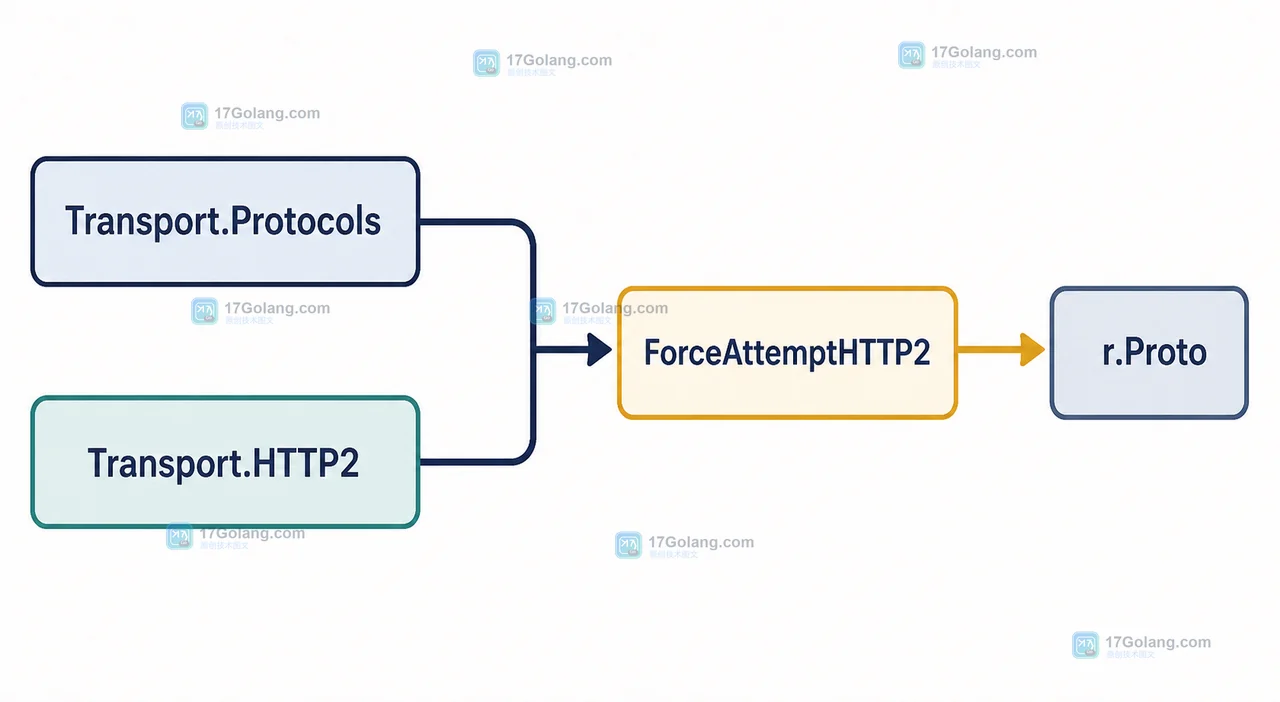 Go net/http Protocols 与 Transport.HTTP2 的兼容判断路径:自定义拨号器到 HTTP/2 协商验证