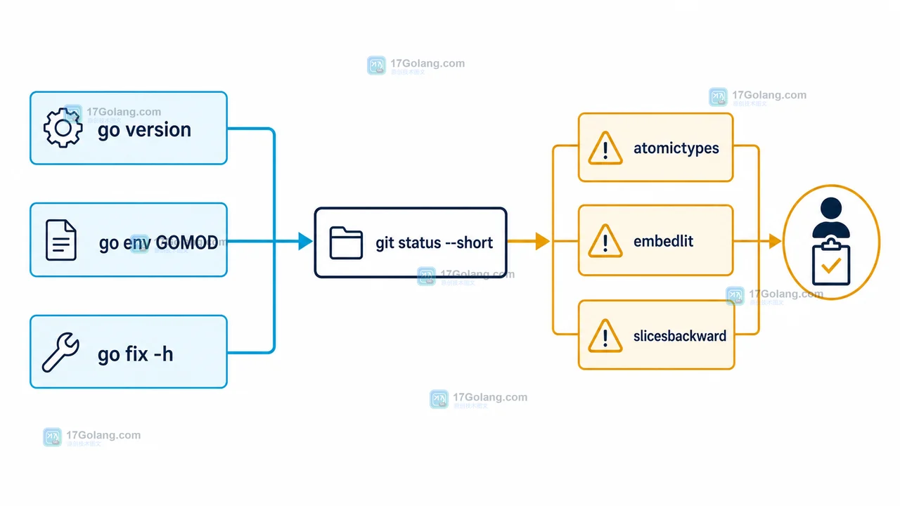 Go fix、atomictypes、embedlit 与 slicesbackward 的检查和审阅关系图