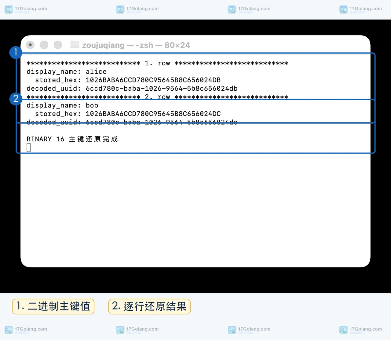 MySQL 终端显示 BINARY(16) 主键中的存储 HEX 以及使用同一 swap_flag 还原的 UUID