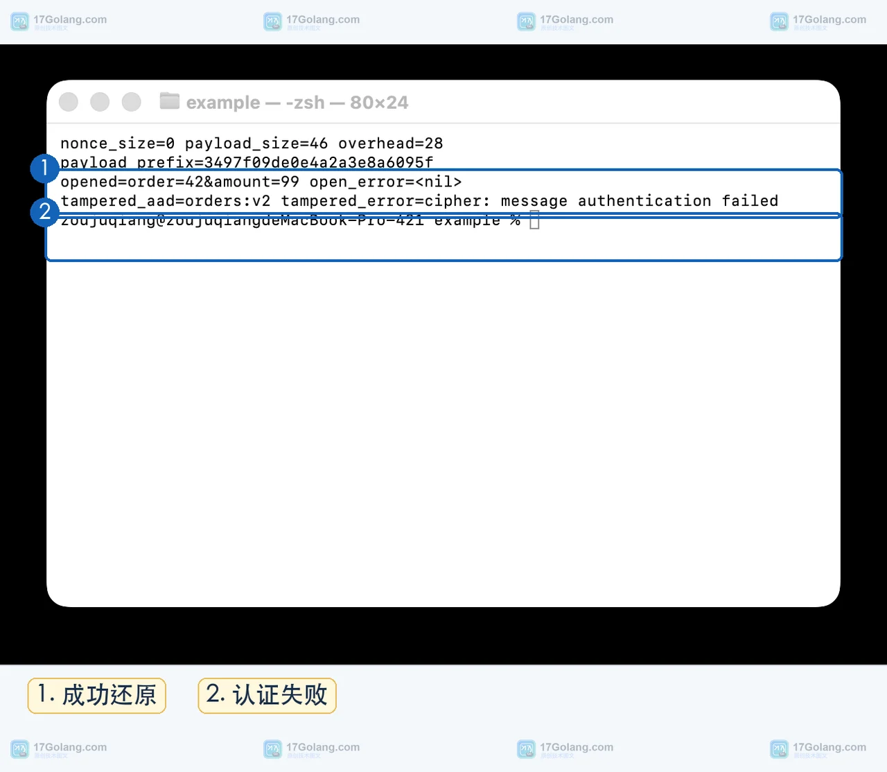 Go AES-GCM 示例成功解密并在附加数据被篡改后返回认证错误