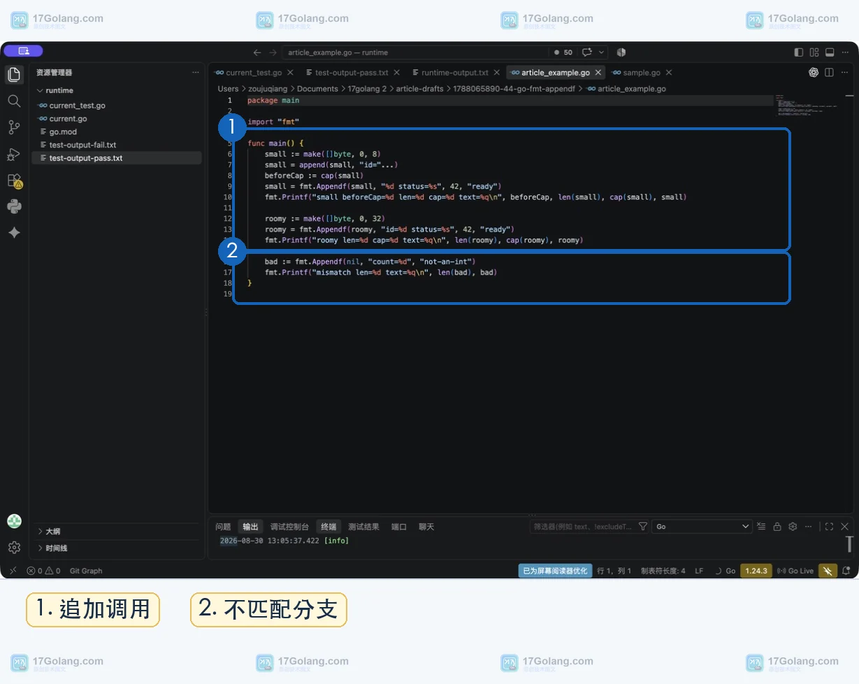 Go fmt.Appendf 在 Terminal 中展示类型不匹配时写入格式诊断文本