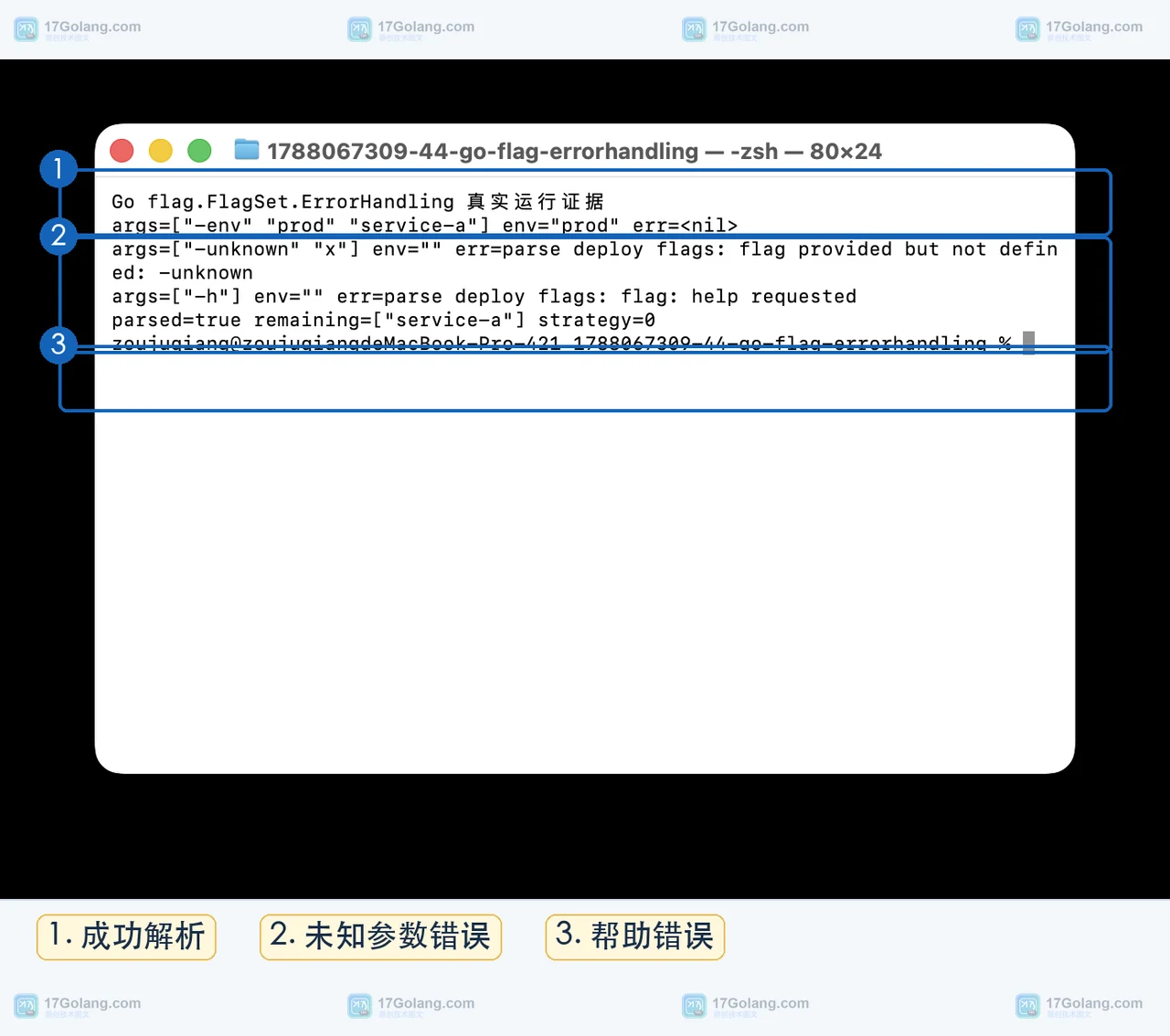 Go flag.FlagSet ContinueOnError 运行时显示成功解析、未知参数错误和帮助参数结果
