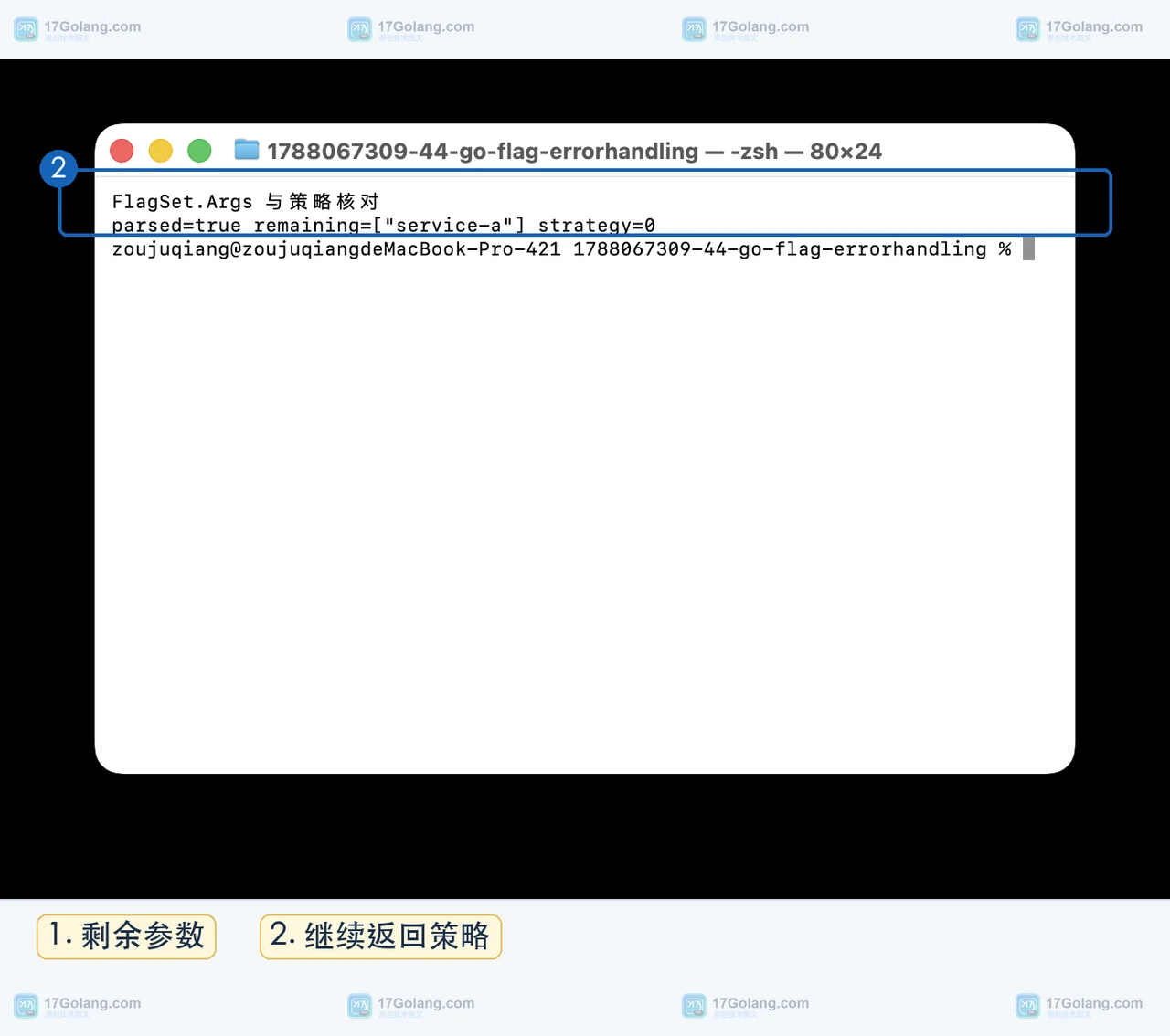 Go FlagSet Args 与 ErrorHandling 运行结果展示剩余参数和 ContinueOnError 策略
