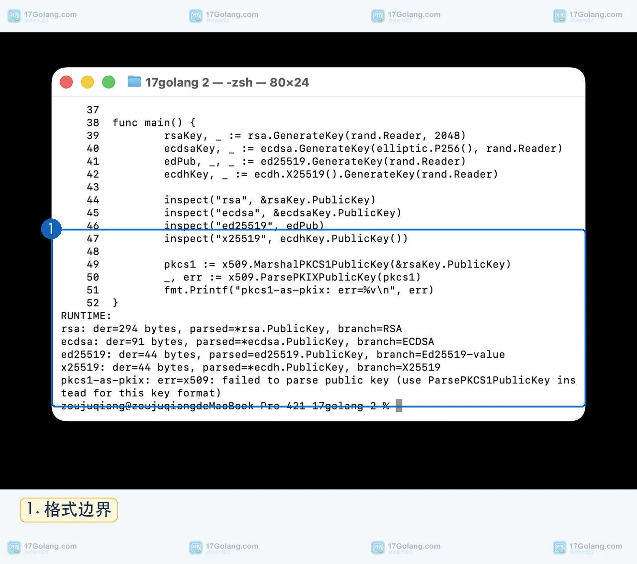 Go 真实终端显示 PKCS1 公钥 DER 送入 ParsePKIXPublicKey 后的格式错误边界