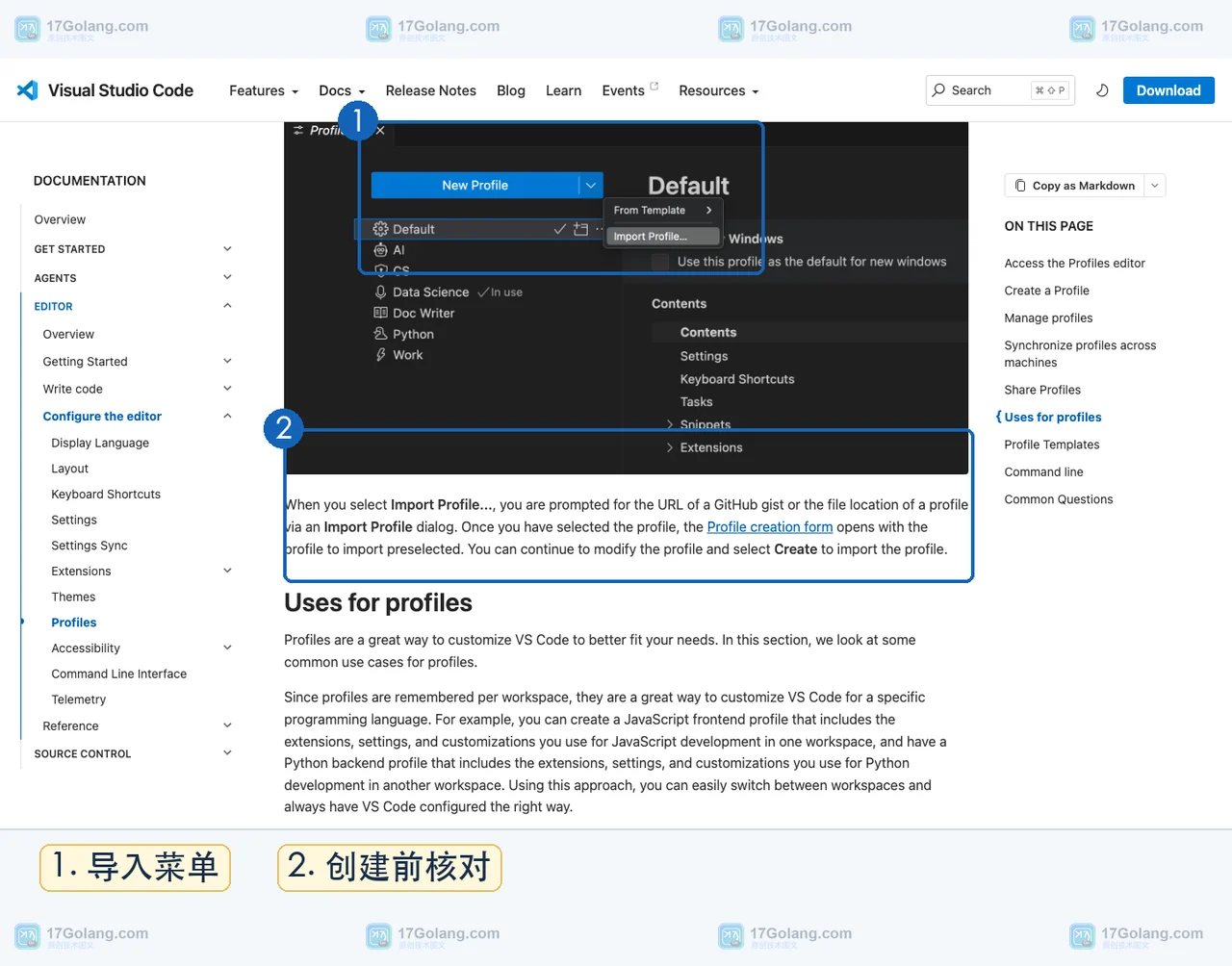 VS Code Profiles 编辑器中的 Import Profile 导入入口和 Profile 创建表单