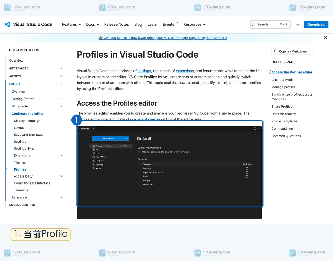 VS Code Profiles 编辑器展示当前 Profile 和可管理的配置内容