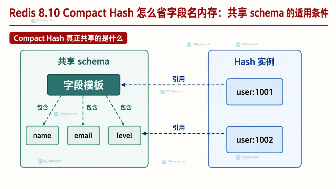 Redis 8.10 Compact Hash 字段模板与两个 Hash 实例的共享 schema 结构图