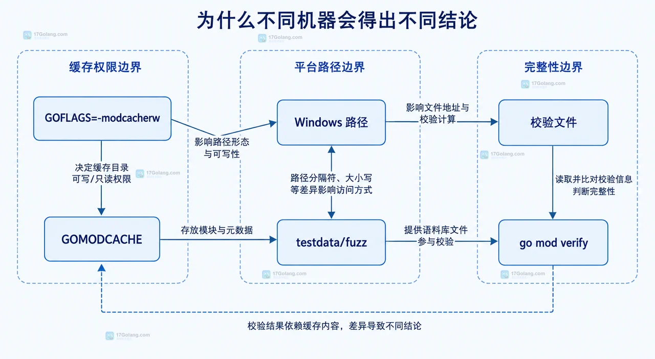 Go 模块缓存可写性、Windows 路径、testdata fuzz 语料库与 go mod verify 的静态边界图