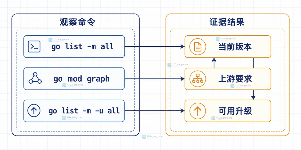 三组 Go 模块命令与版本证据的静态关系图
