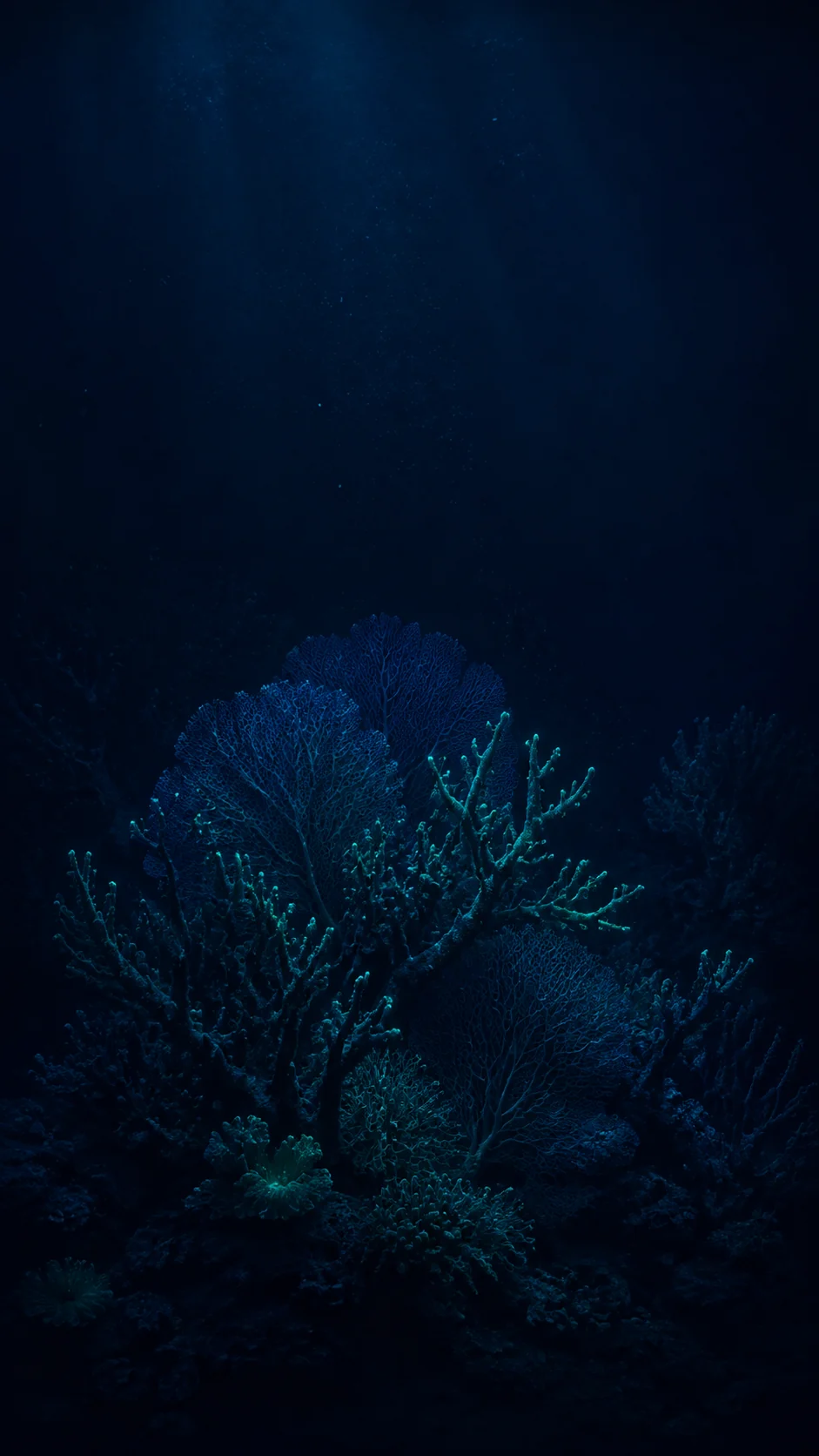 紫蓝月光下的稀疏深海荧光珊瑚手机锁屏变体，主体偏右下并保留顶部暗区