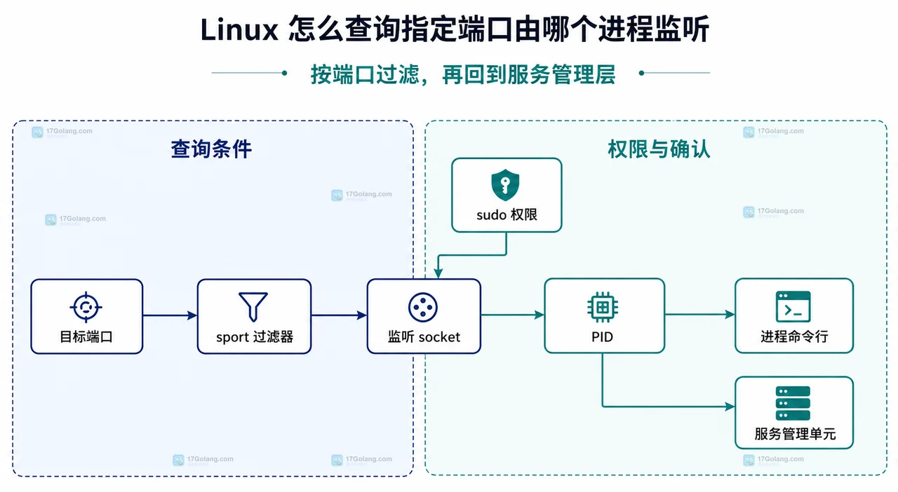 Linux ss 查询中监听 socket、TCP UDP、IPv4 IPv6、端口过滤与 PID 进程名的静态关系图