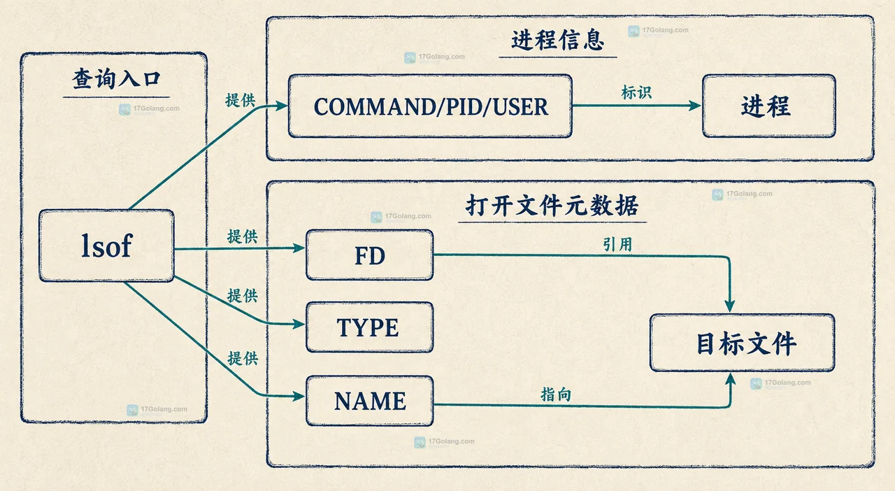 Linux lsof 的文件路径、+d 单层目录、+D 递归目录与 PID FD 过滤边界关系图