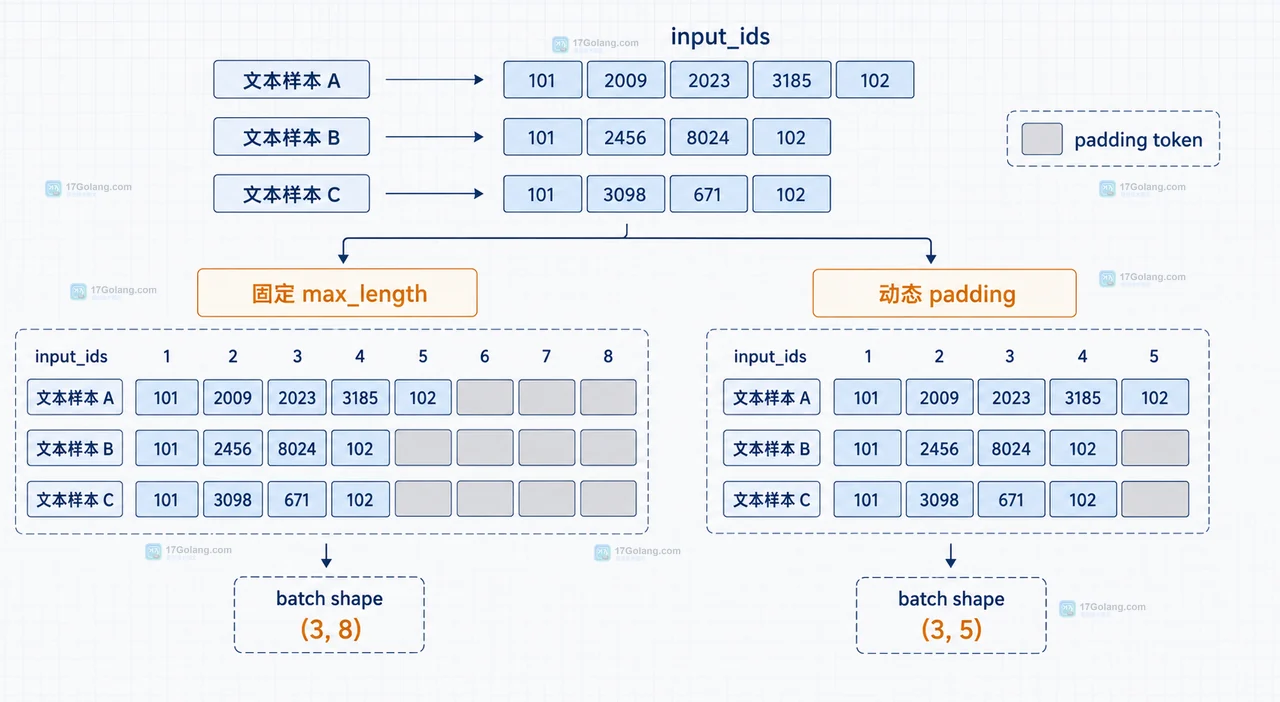 DataCollatorWithPadding 生成 input_ids 与 attention_mask 的静态关系图