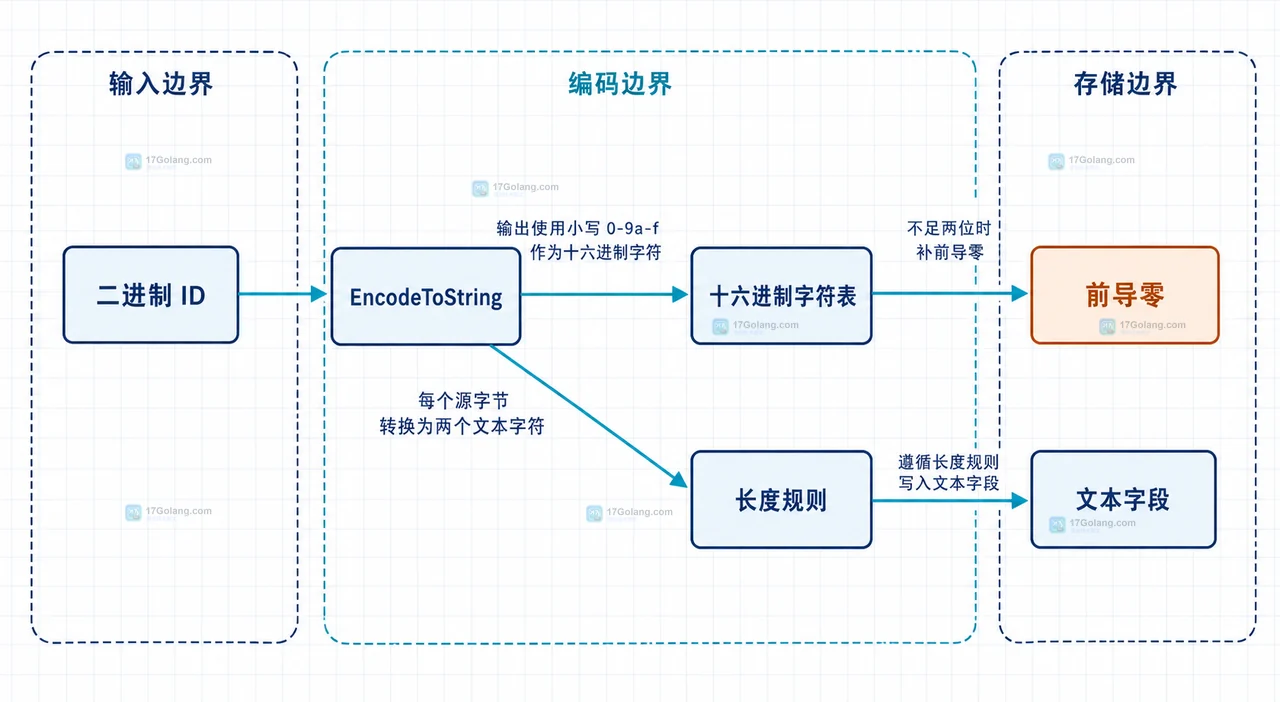 Go DecodeString 将十六进制文本恢复为二进制 ID 并经过错误与长度边界的静态结构框图