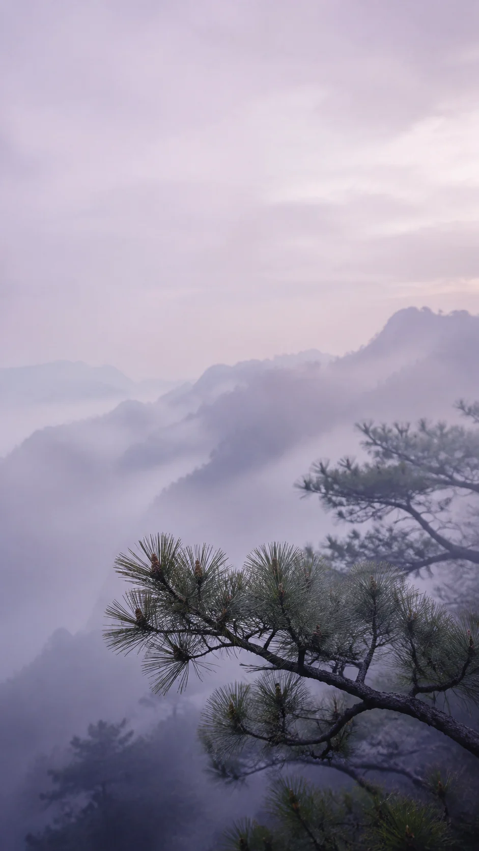 蓝灰雾光中的右下松枝手机壁纸变体，上方与中部保留图标负空间