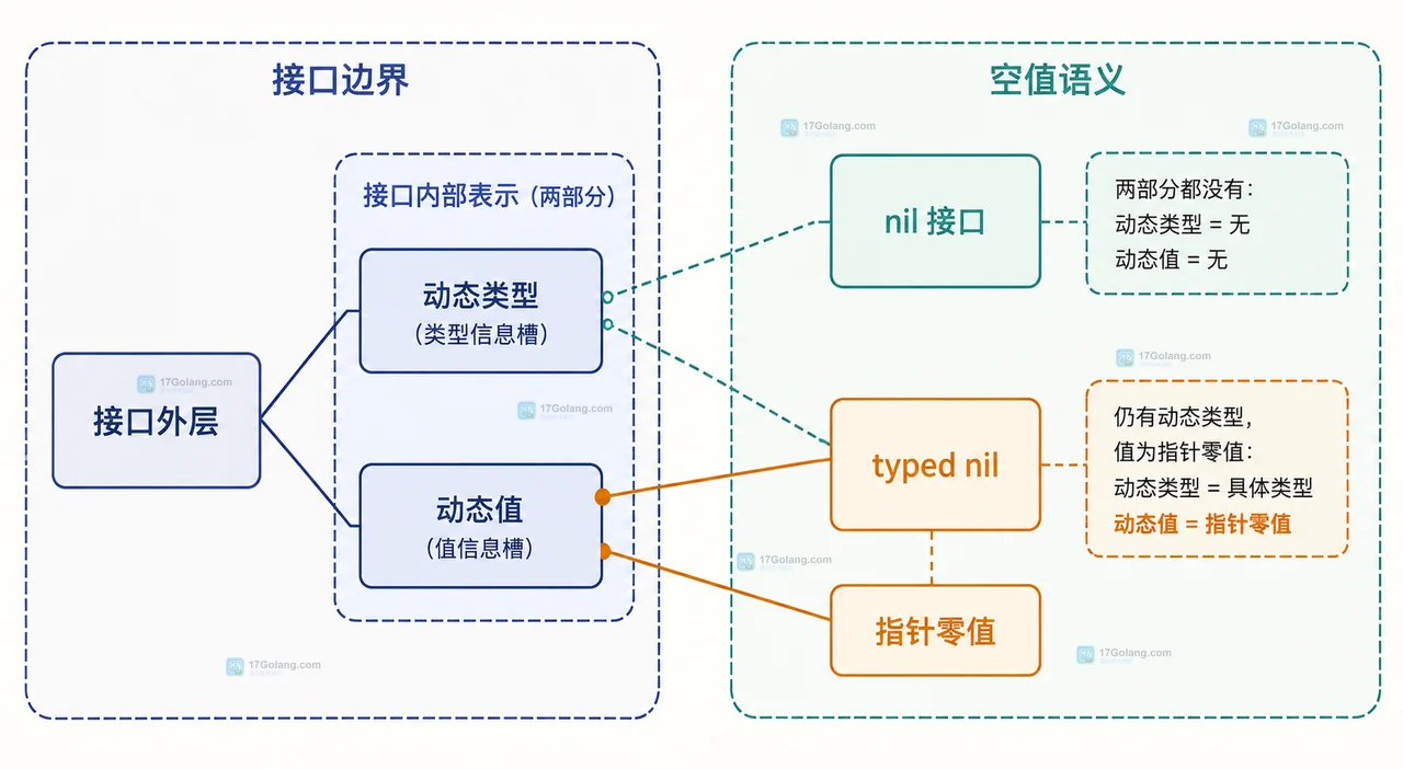 接口外层、动态类型、动态值与 typed nil 的静态关系