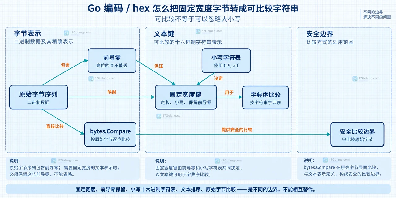 encoding/hex 的固定宽度编码边界、缓冲区和文本键关系图