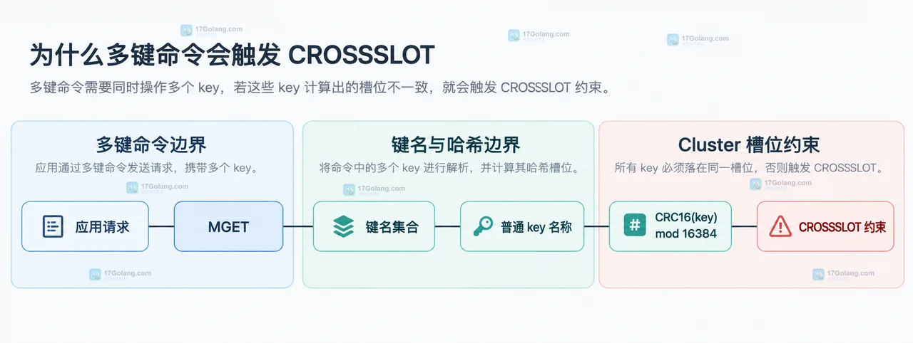 Redis Cluster 使用业务 ID hash tag 组织 user profile 与 orders key 的静态关系图