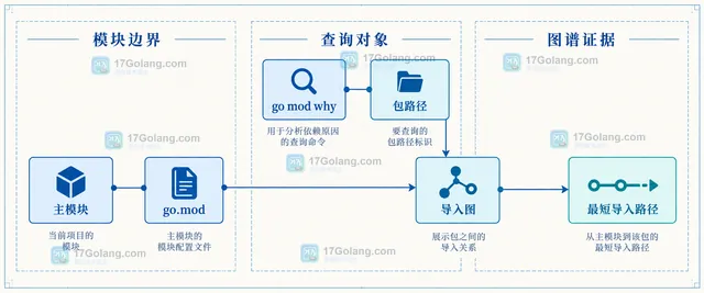 Go go mod why 包路径与模块边界示意：主模块、go.mod、导入图和最短导入路径的关系