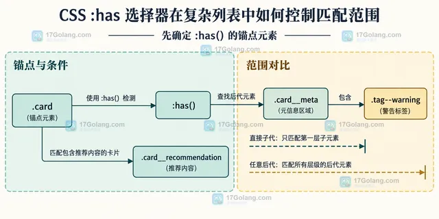 帮助读者区分 >、空格、+、:not() 与状态区域之间的静态关系。
