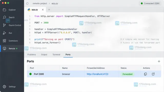 VS Code Remote SSH 远程窗口底部 Ports 视图中的 Add Port 端口转发入口示意