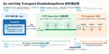Go Transport DisableKeepAlives 如何影响连接复用