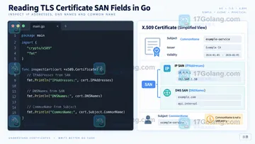 Go TLS 证书 IP 地址校验失败时如何读 SAN