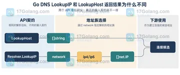 Go DNS LookupIP 和 LookupHost 返回结果为什么不同