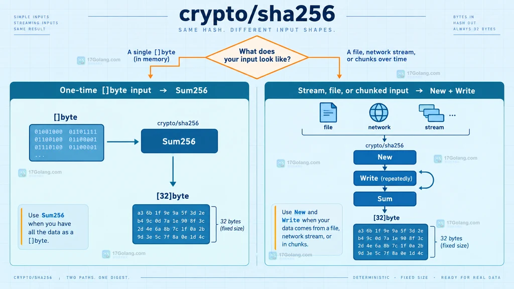 Go hash.Hash 通过 Write 累计状态并由 Sum(nil) 输出摘要字节的结果类型边界图