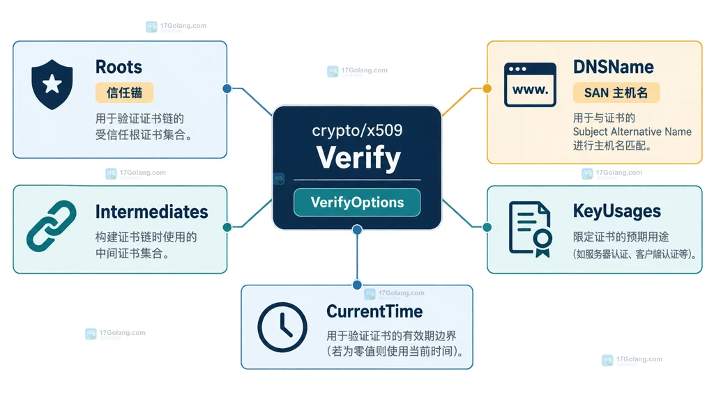 Go crypto/x509 VerifyOptions 结构说明图,展示 DNSName、Roots、Intermediates 和 KeyUsages 与 Verify 的关系