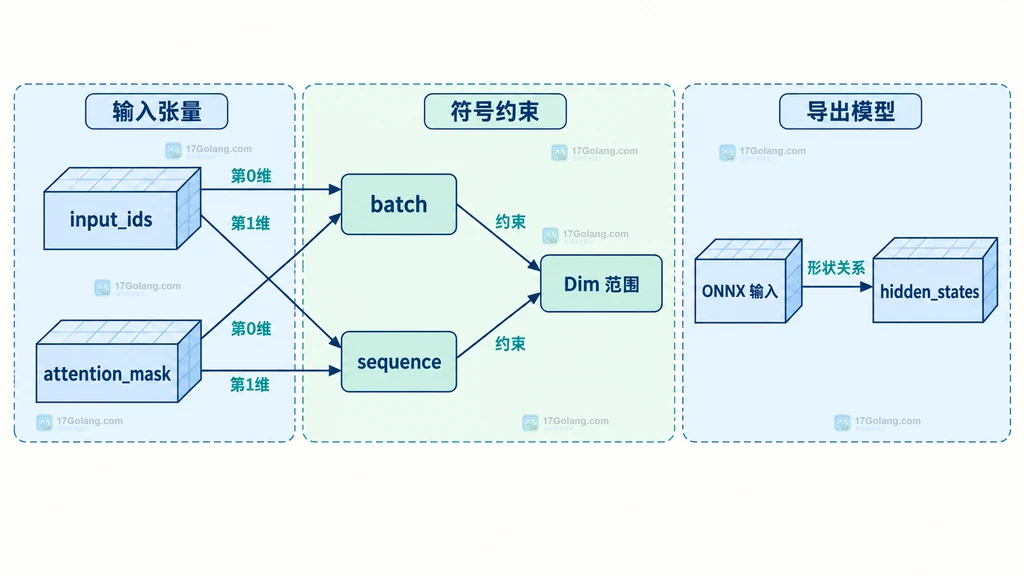 ONNX 导出中 input_ids、attention_mask、batch 与 sequence 符号维度静态关系图
