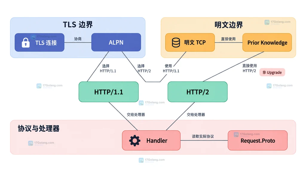 Go HTTP 服务 TLS ALPN、明文 prior knowledge、Handler 与 Request.Proto 静态边界图