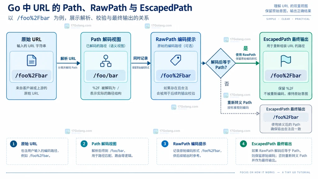 Path、RawPath 与 EscapedPath 的关系说明图
