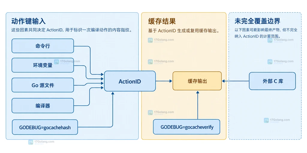 Go 编译缓存动作键、可追踪输入与外部 C 库边界的静态关系说明图