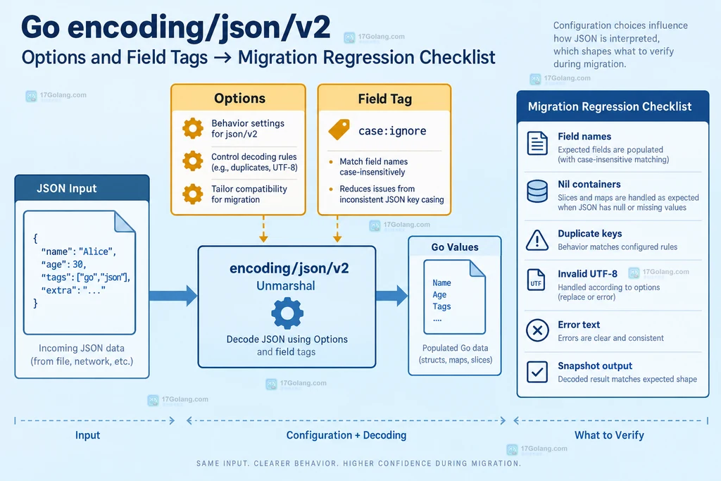 Go encoding/json/v2 Options、字段标签与迁移回归清单的关系说明图