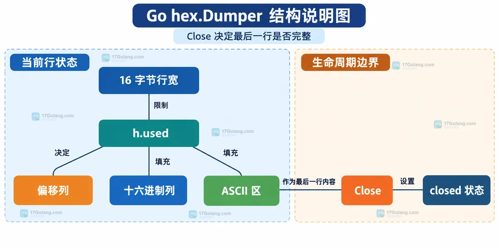 Go hex.Dumper 以 16 字节行宽维护 h.used 并由 Close 完成尾行和 closed 状态的结构说明图
