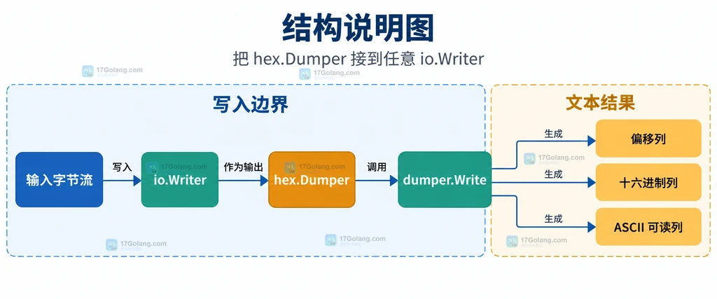 Go hex.Dumper 通过 io.Writer 接收输入并组织偏移列、十六进制列和 ASCII 可读列的结构说明图
