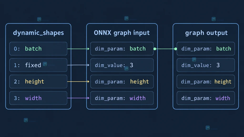 ONNX 输入输出维度元数据静态关系图，展示 dim_param batch height width 与 dim_value 3 的区别
