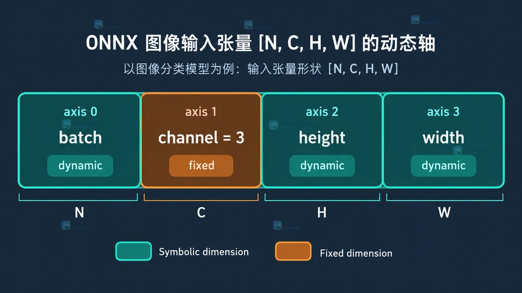 ONNX 图像输入四个轴的静态结构图，batch height width 为动态符号，channel 为固定值 3