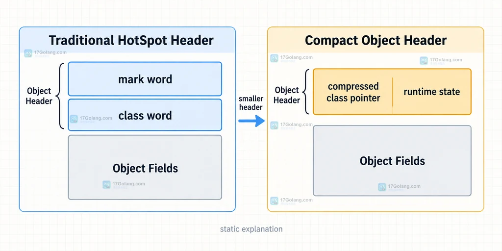 Java Compact Object Headers 中压缩类指针、哈希码、年龄位和状态位的关系说明图