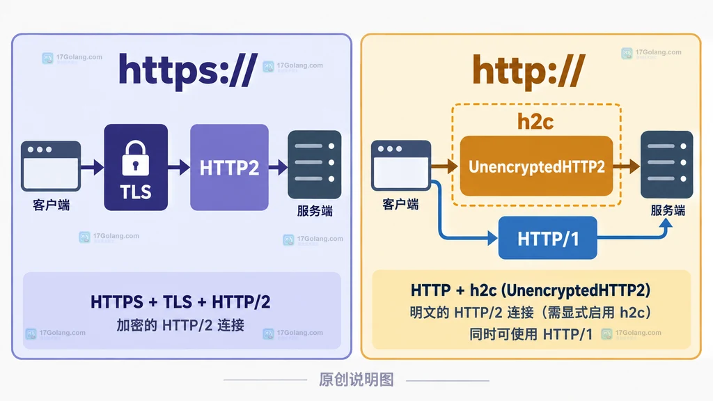 Go Transport Protocols 允许集合与 HTTP1 HTTP2 协议关系的静态说明图