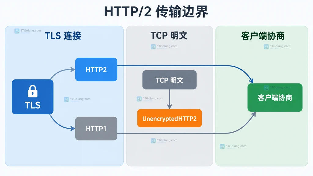 Go http.Server.Protocols 与 HTTP2、TLS ALPN h2 的原创静态技术关系图