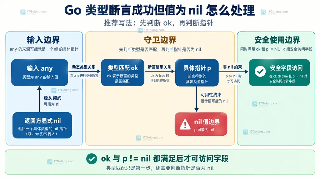 类型断言 ok、具体指针 nil 判断与安全字段访问的边界关系
