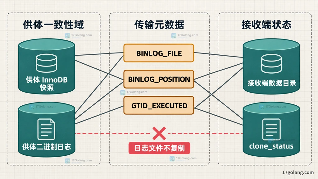 MySQL Clone 供体快照、复制坐标元数据、接收端 clone_status 与供体二进制日志的静态边界关系图