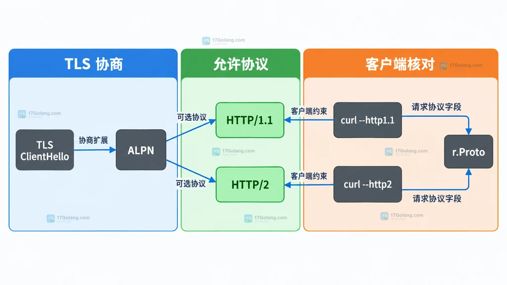 TLS ALPN、HTTP 协议与客户端约束的静态关系图